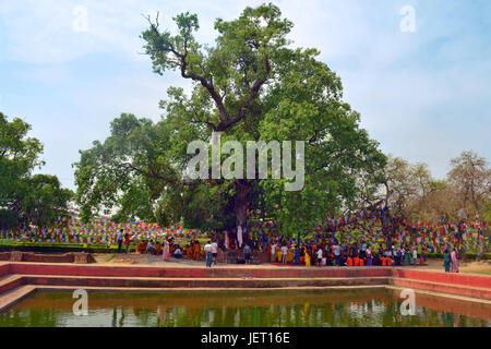 Lumbini, Nepal - birthplace of Buddha Siddhartha Gautama. Stock Photo