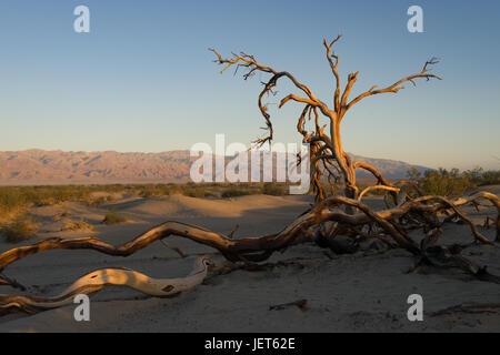 Sunrise in Death Valley National Park Stock Photo