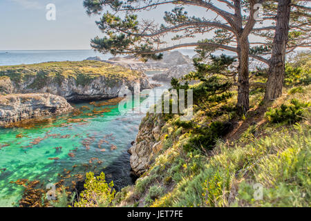 Point Lobos State Reserve at Highway 1 in California Stock Photo