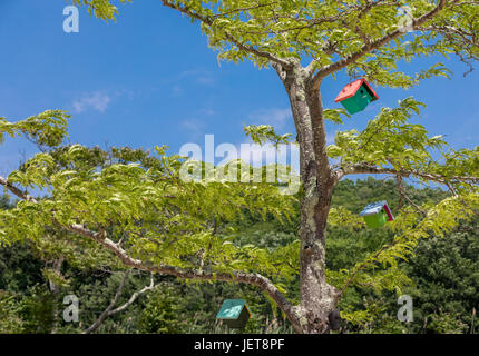 colorful bird house hanging in a tree at Sunset Beach Hotel and Resturant, Shelter Island, NY Stock Photo