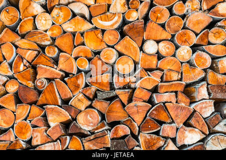Stack of logs Stock Photo
