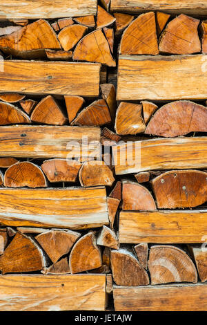 Stack of logs Stock Photo