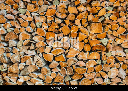 Stack of logs Stock Photo