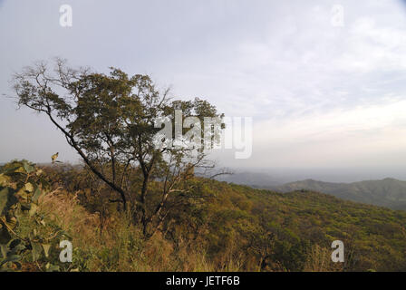 Mago national park, southern Omotal, south Ethiopia, Stock Photo