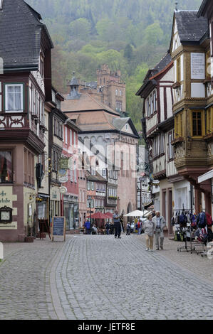 Old Town, mountain Milten, the Main, Lower Franconia, Bavaria, Germany, Stock Photo