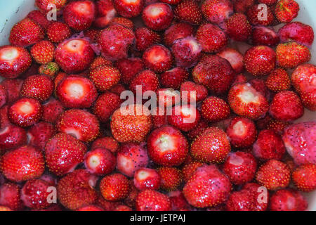 Strawberries in water Stock Photo