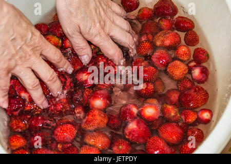 Strawberries in the water Stock Photo