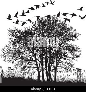 tree, wild, black, swarthy, jetblack, deep black, geese, group, backdrop, Stock Vector