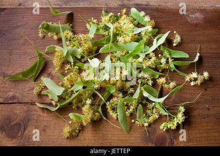 Linden blossom herb fresh flowers tilia background. Aromatic and useful healthy herbal tea Stock Photo