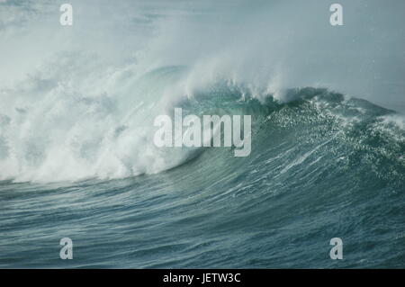 Surfs up on cornish beach wave barrel