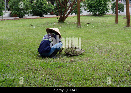 Vietnamese Stock Photo