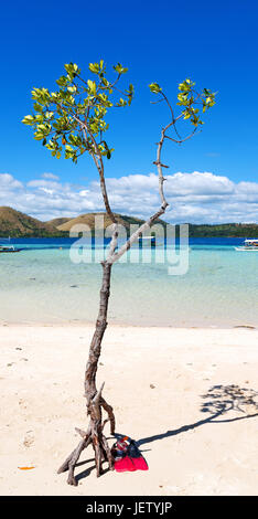 in the philippines island beautiful cosatline tree hill and boat for tourist Stock Photo