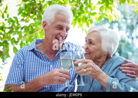 Retired couple toasting white wine Stock Photo