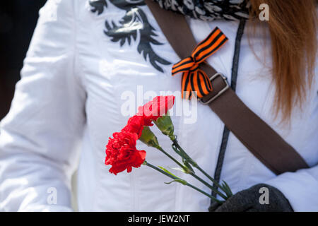 Three red carnations are in woman hands and St. George ribbon is on jacket. St. George ribbon - the symbol of the great Victory in Russia. Close up vi Stock Photo
