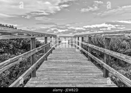 Boardwalk to the Beach of Canaveral National Seashore at Cape Canaveral Florida in Black and White Stock Photo