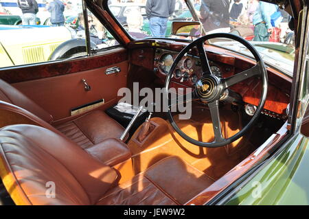 Jaguar interior Stock Photo