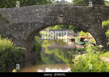 Narrowboats moored on the Monmouthshire and Brecon canal near Llangattock, Brecon Beacons, Powys, Wales -  June Stock Photo