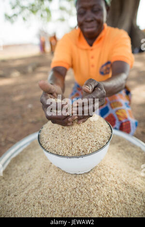 A women’s cooperative processes and parboils rice as an income-generating activity in Upper-East Region, Ghana. Stock Photo