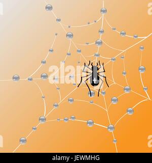 net spiders web Stock Vector