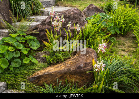 Flowers blooming in a garden at the Shurijo Castle in Naha, Okinawa, Japan. Stock Photo