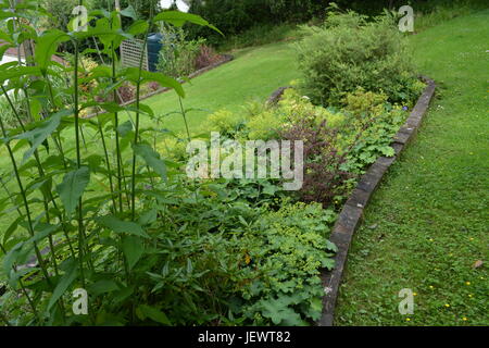 Pretty well stocked mature garden border edged with sunken wooden timber treated railway sleepers with tended lawn on sloping site Stock Photo