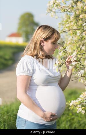 Beautiful portrait pregnant girl Stock Photo