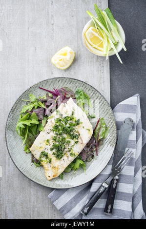 Coalfish Filet with Mixed Salad Stock Photo