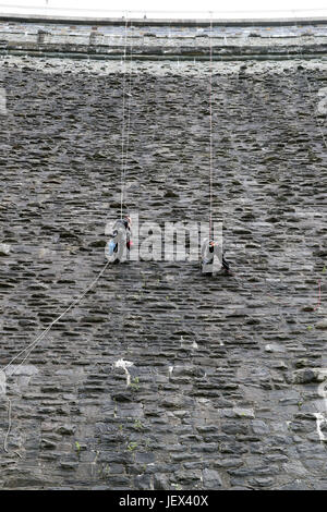 Plauen, Germany. 13th June, 2017. Workers of a rope access business in Chemnitz, clean by hand the wall of the Werda dam near Plauen, Germany, 13 June 2017. The head of the company, Mr Lermer, and his crew of up to ten do all kinds of rope access work wherever scaffolding or lifts are impractical or too expensive to be deployed: facade cleaning, changing of shutter motors, inspection of bridge strutings or even cleaning of dams like the Werda dam. The men remove leaves, moss, grasses and tree shoots from the gaps and seams. Photo: Jan Woitas/dpa-Zentralbild/dpa/Alamy Live News Stock Photo