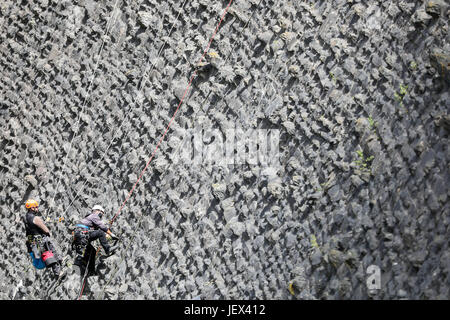 Plauen, Germany. 13th June, 2017. Workers of a rope access business in Chemnitz, clean by hand the wall of the Werda dam near Plauen, Germany, 13 June 2017. The head of the company, Mr Lermer, and his crew of up to ten do all kinds of rope access work wherever scaffolding or lifts are impractical or too expensive to be deployed: facade cleaning, changing of shutter motors, inspection of bridge strutings or even cleaning of dams like the Werda dam. The men remove leaves, moss, grasses and tree shoots from the gaps and seams. Photo: Jan Woitas/dpa-Zentralbild/dpa/Alamy Live News Stock Photo