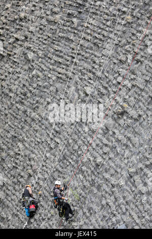 Plauen, Germany. 13th June, 2017. Workers of a rope access business in Chemnitz, clean by hand the wall of the Werda dam near Plauen, Germany, 13 June 2017. The head of the company, Mr Lermer, and his crew of up to ten do all kinds of rope access work wherever scaffolding or lifts are impractical or too expensive to be deployed: facade cleaning, changing of shutter motors, inspection of bridge strutings or even cleaning of dams like the Werda dam. The men remove leaves, moss, grasses and tree shoots from the gaps and seams. Photo: Jan Woitas/dpa-Zentralbild/dpa/Alamy Live News Stock Photo