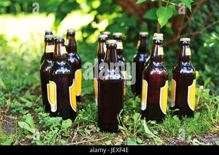 Bottles of beer on grass. Summer relaxation abstract photo. Stock Photo