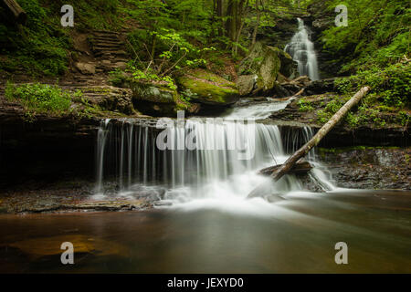 Ricketts Glen State Park is a Pennsylvania state park on 13,050 acres in Columbia, Luzerne, and Sullivan counties in Pennsylvania in the United States Stock Photo