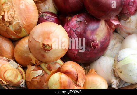 5 kg farm onions in a red pp mesh bag. Polypropylene net sack with 11 lb of  organic onions on a brown floor indoors. Buying fresh vegetables in bulk  Stock Photo - Alamy