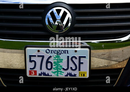 Decorated Oregon state car license plate with a Douglas-fir / Oregon pine, the state tree, USA Stock Photo