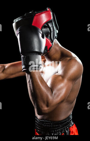 Boxer performing upright stance Stock Photo