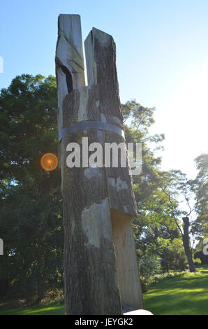 Wooden Tree Trunk Art at The National Botanic Gardens in Dublin, Ireland Stock Photo