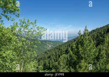 Pelister National Park, Macedonia Stock Photo