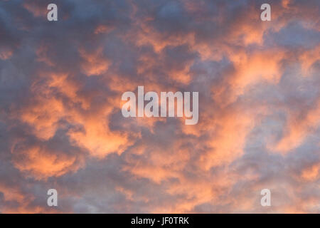 Early morning sunrise. Stock Photo