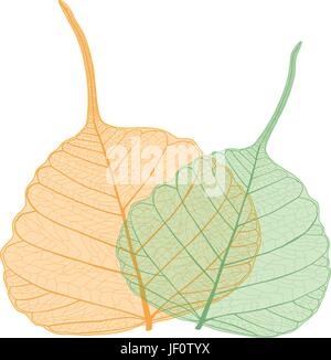veil leaves,leaves,vector Stock Vector