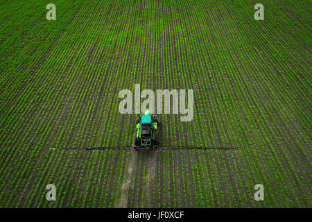 A blue tractor moves through the spring field and sprays fertilizers on plants planted on it. Spring processing of agricultural crops. View from above Stock Photo