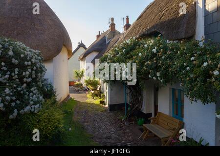 Thatched cottages at Inner Hope, Hope Cove, Devon, England Stock Photo