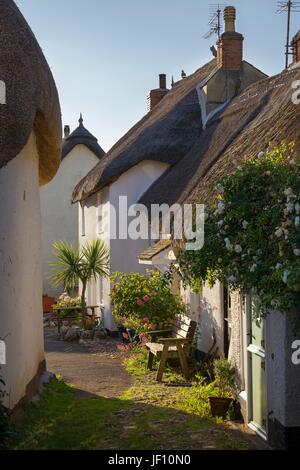Thatched cottages at Inner Hope, Hope Cove, Devon, England Stock Photo