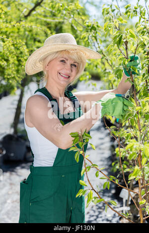 Mature woman gardener wearnig a hat, cutting a tree branch, working in a garden. Stock Photo
