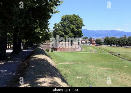 The historic city walls of Lucca, Italy and the parkland surrounding them. Stock Photo