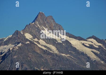 Peak of Mt Finsteraarhorn in summer Stock Photo