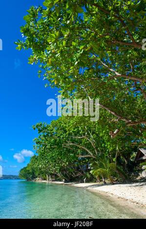Beach at the Aore islet before the Island of Espiritu Santo, Vanuatu, South Pacific Stock Photo