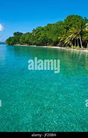 Beach at the Aore islet before the Island of Espiritu Santo, Vanuatu, South Pacific Stock Photo