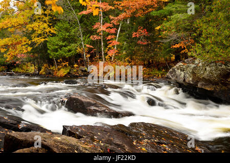 Rapids on the Ox Tongue River in the Fall Stock Photo