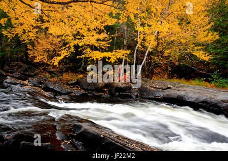 Rapids on the Ox Tongue River in the Fall Stock Photo