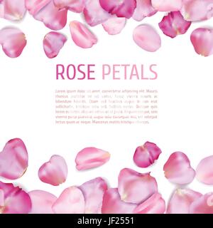 6,797 Pink Rose Petals Scattered Images, Stock Photos, 3D objects, &  Vectors